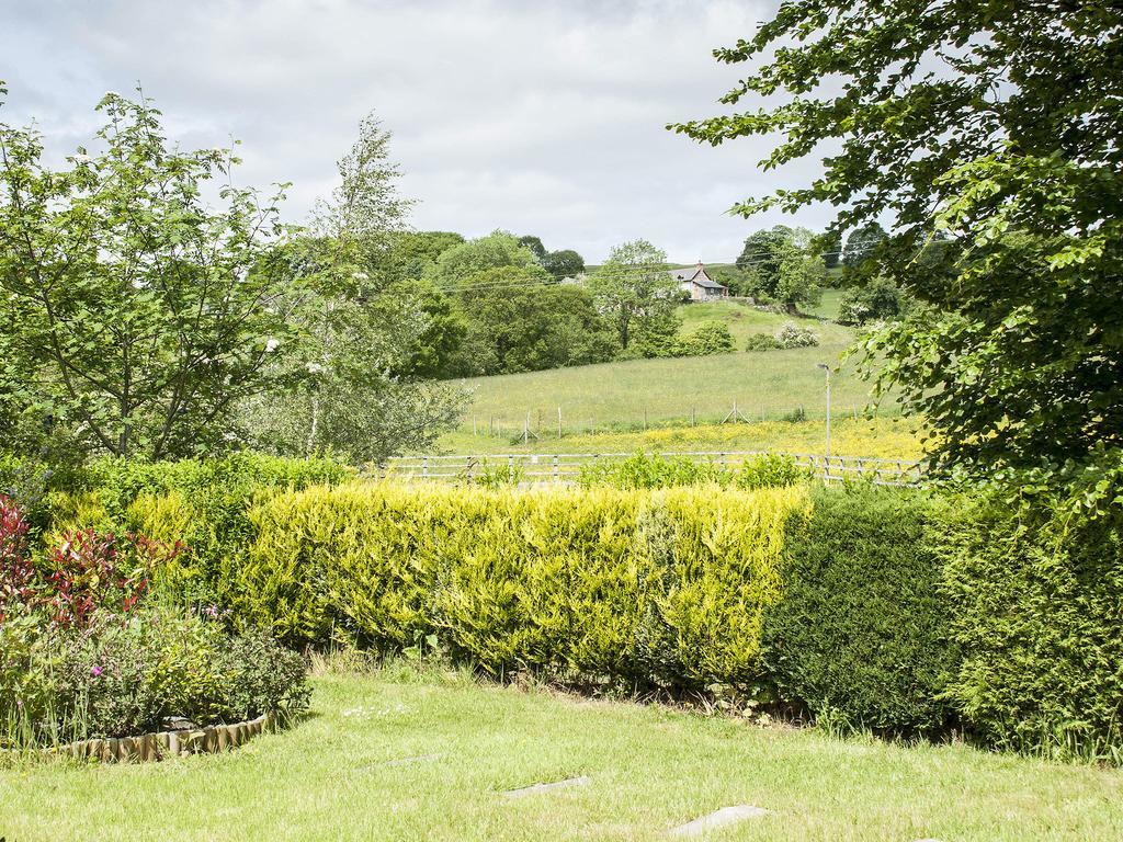 Bwthyn Bach Holiday Cottage Bala Zimmer foto